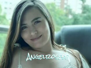 Angelrosesp