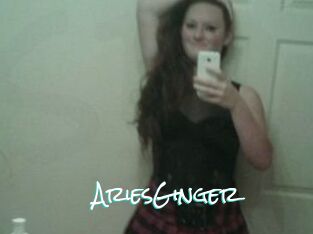 AriesGinger