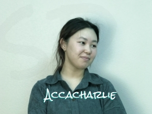 Accacharlie