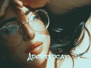 Adoptedcat