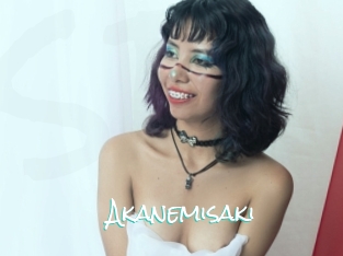 Akanemisaki