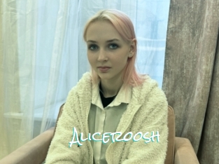 Aliceroosh