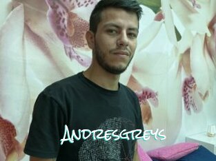 Andresgreys