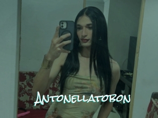 Antonellatobon