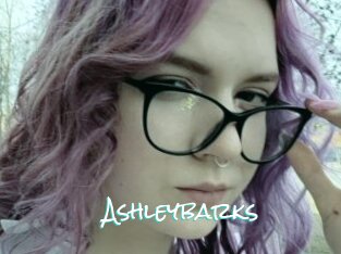 Ashleybarks