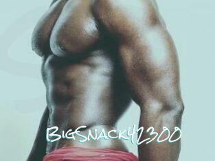 BigSnack42300