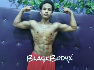 BlackBodyX