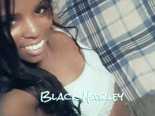 Black_Harley