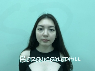 Berenicegledhill