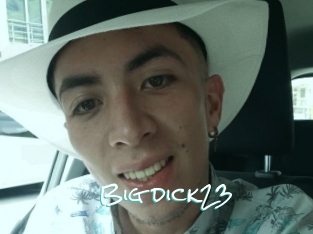 Big_dick23