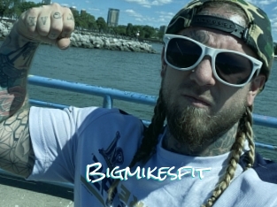 Bigmikesfit