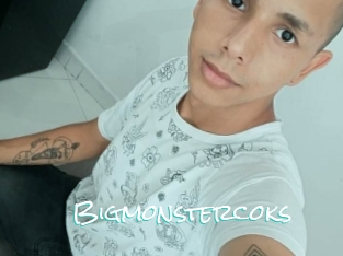 Bigmonstercoks