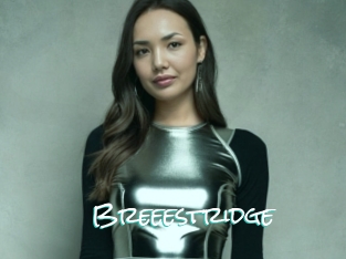 Breeestridge