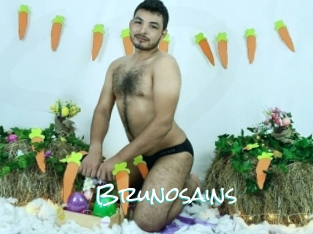 Brunosains