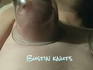 Bustin_knuts