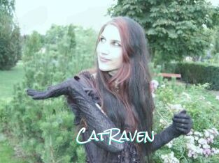 CatRaven