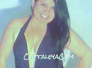 CattaleyaCum