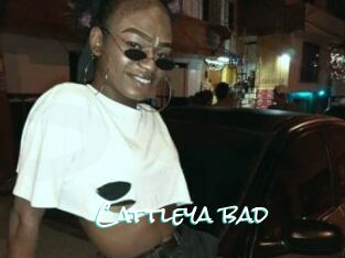 Cattleya_bad