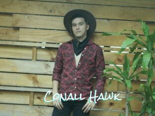 Conall_Hawk