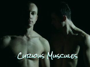 Curious_Muscules