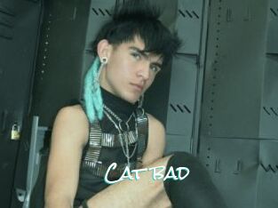 Cat_bad