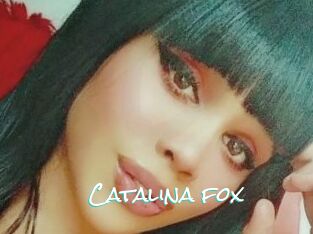 Catalina_fox