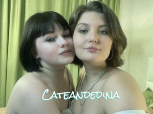 Cateandedina