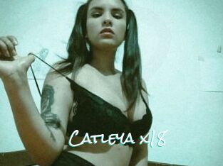 Catleya_x18