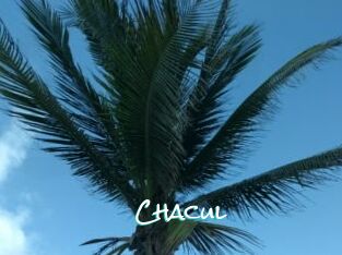 Chacul