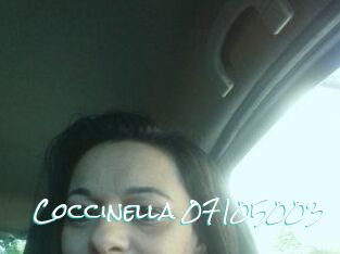 Coccinella-07105003