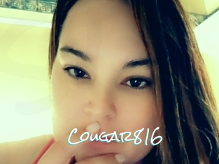 Cougar816