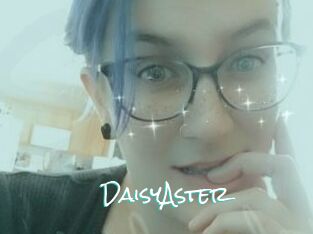 DaisyAster