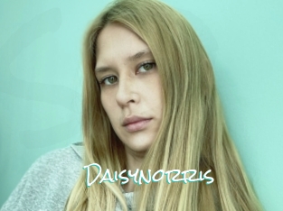 Daisynorris