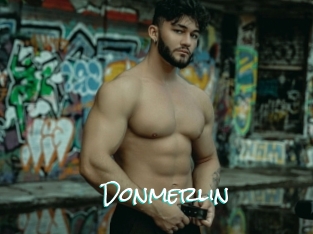 Donmerlin