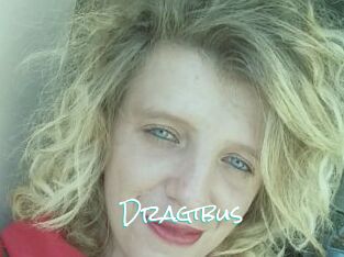 Dragibus