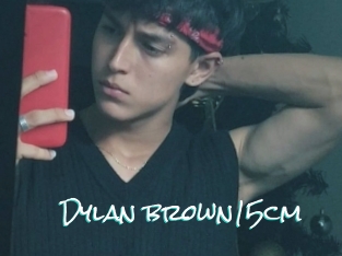 Dylan_brown15cm