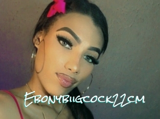 Ebonybiigcock22cm