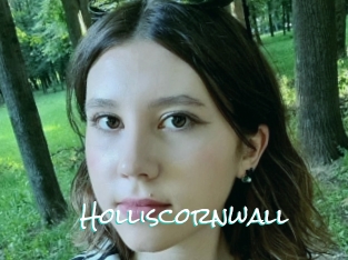 Holliscornwall