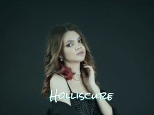 Holliscure