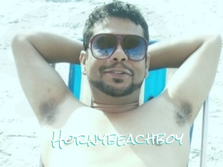 Hornybeachboy