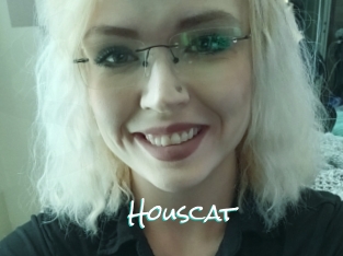 Houscat