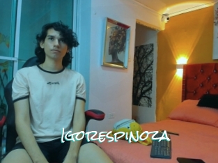 Igorespinoza