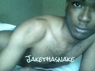 Jake_tha_snake