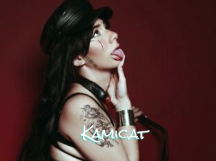 Kamicat