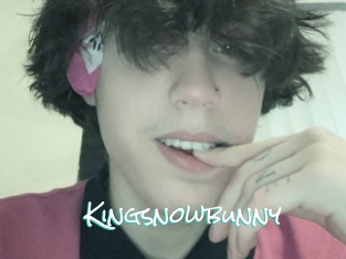 Kingsnowbunny