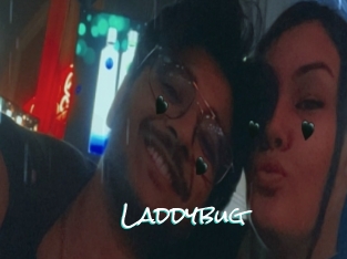 Laddybug