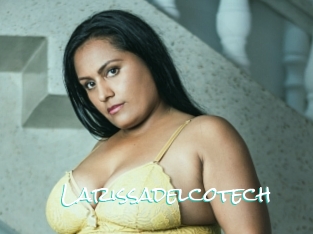 Larissadelcotech