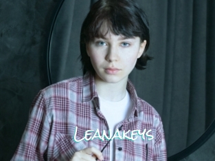 Leanakeys