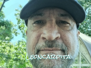 Leoncarpita