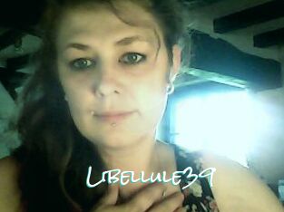 Libellule39